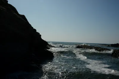 DSC_2701 (Large).JPG